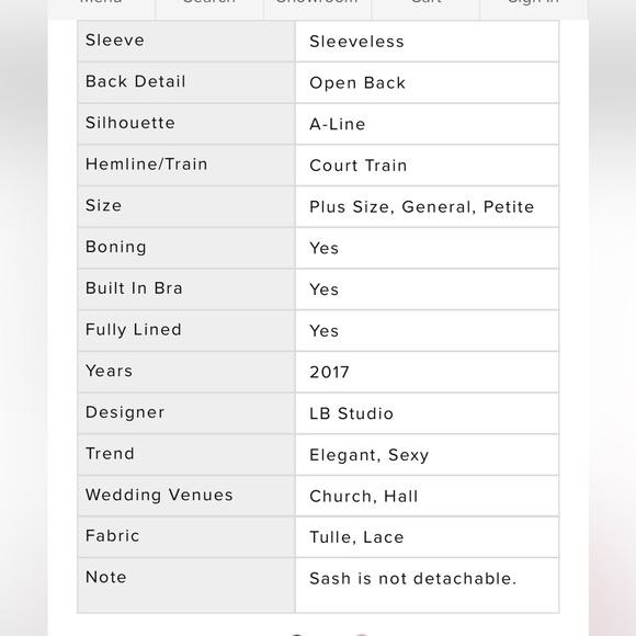 A-Line Court Train Tulle And Lace Wedding Dress, Cocomelody NWT - Picture 8 of 10